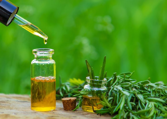 A bottle of rosemary oil on a tree stump. Essential oil, natural remedies.