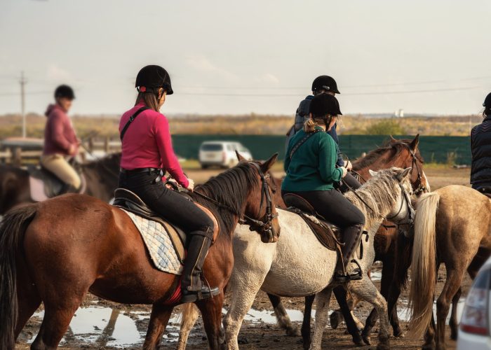 people went horseback riding